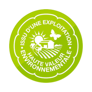 logo t 2